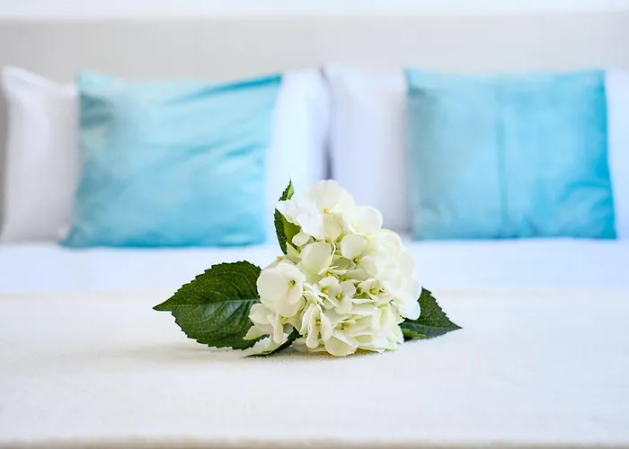 The Ocean View Senator Modern *