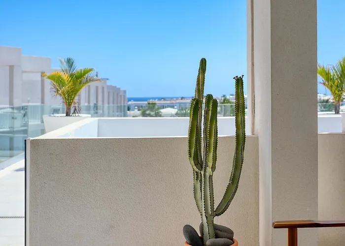 The Ocean View Senator Modern