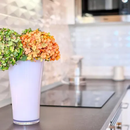 The Ocean View Senator Modern Apartament *