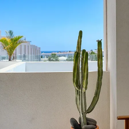 The Ocean View Senator Modern