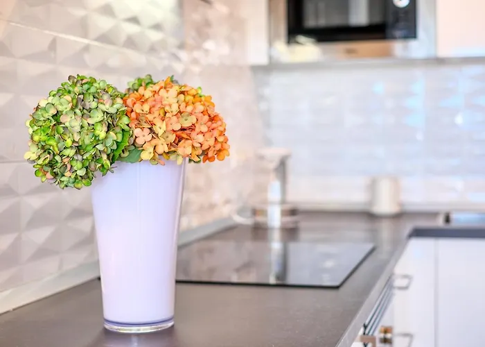 The Ocean View Senator Modern Appartement *